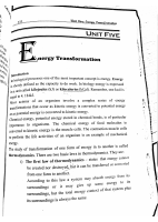Extreme Energy Transformation.pdf